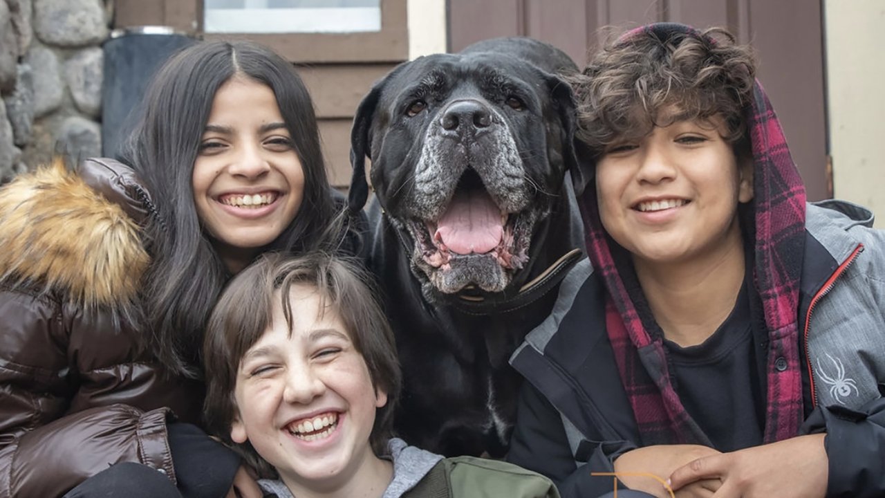 دانلود فيلم Dog Patrol: Operation Santa Paws 2025 | گشت سگ: عملیات پنجه‌های بابانوئل