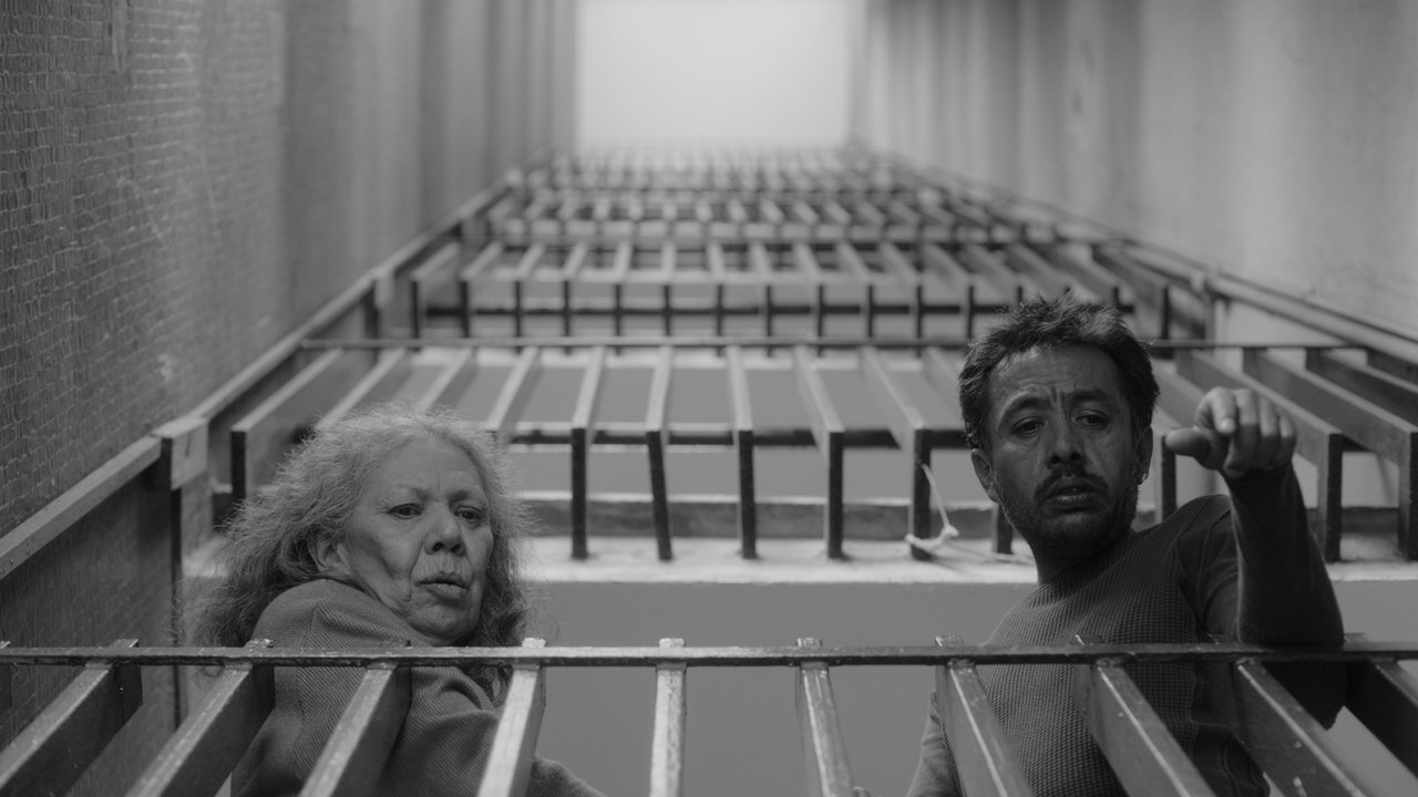 دانلود فيلم We Shall Not Be Moved 2024 | ما تکان نخواهیم خورد