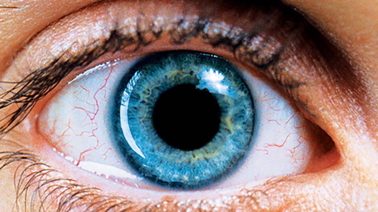 دانلود فيلم Requiem for a Dream 2000 | مرثیه‌ای برای یک رویا