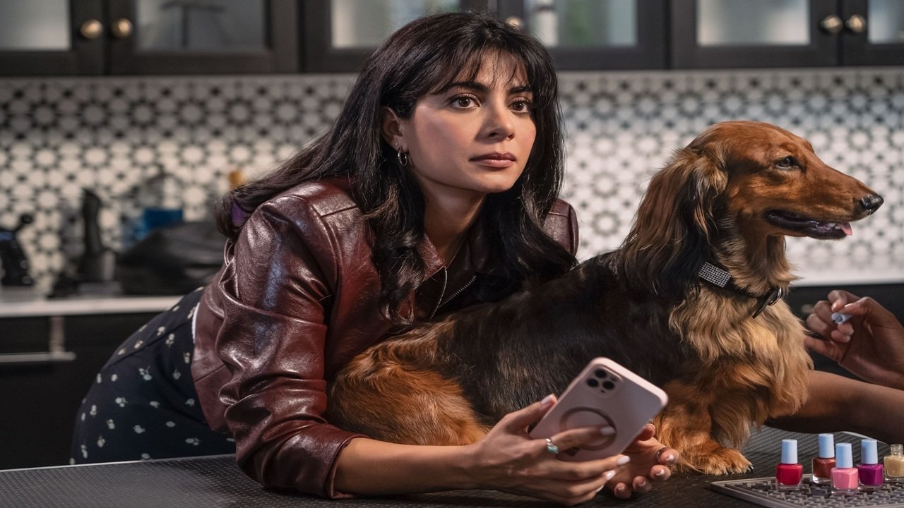 دانلود فيلم Paws in the City 2025 | پنجه‌ها در شهر