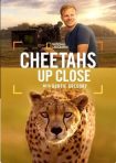 دانلود فيلم Cheetahs Up Close with Bertie Gregory 2026 | یوزپلنگ‌ها از نزدیک با برتی گرگوری