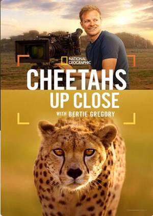 دانلود فيلم Cheetahs Up Close with Bertie Gregory 2026 | یوزپلنگ‌ها از نزدیک با برتی گرگوری