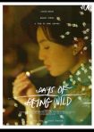 دانلود فيلم Days of Being Wild 1993 | روزهای وحشی بودن