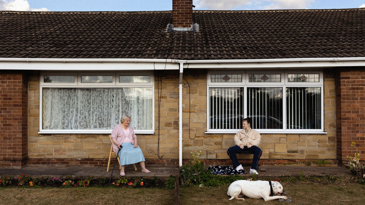 دانلود فيلم Dragonfly 2025 | سنجاقک