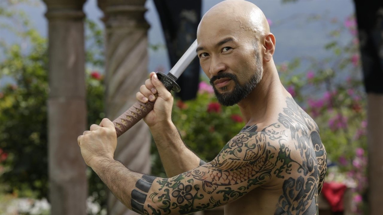 دانلود فيلم Falcon Rising 2014 | خیزش فالکون