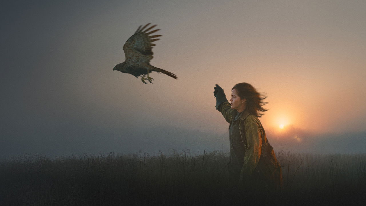 دانلود فيلم H Is for Hawk 2025 | مثل شاهین (Hawk) است