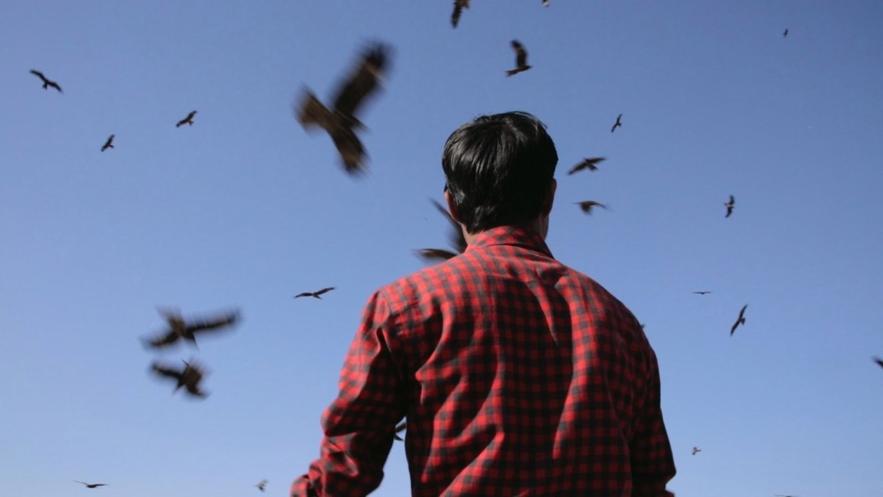 دانلود فيلم Junun 2015 | جونون