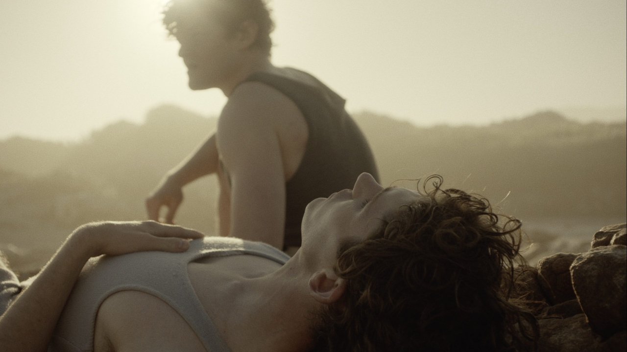 دانلود فيلم Lilies Not for Me 2024 | نیلوفرها برای من نیستند