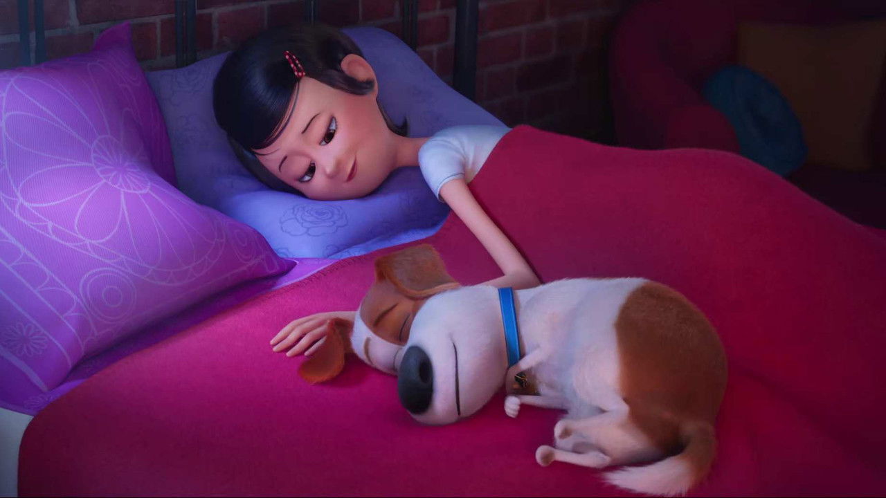 دانلود فيلم Pets 2020 | حیوانات خانگی