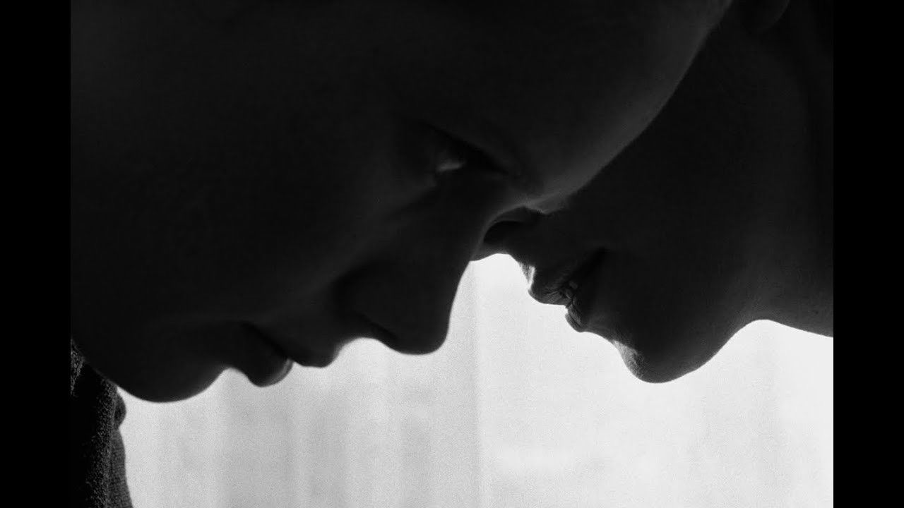 دانلود فيلم The Arborist 2025 | درختکار