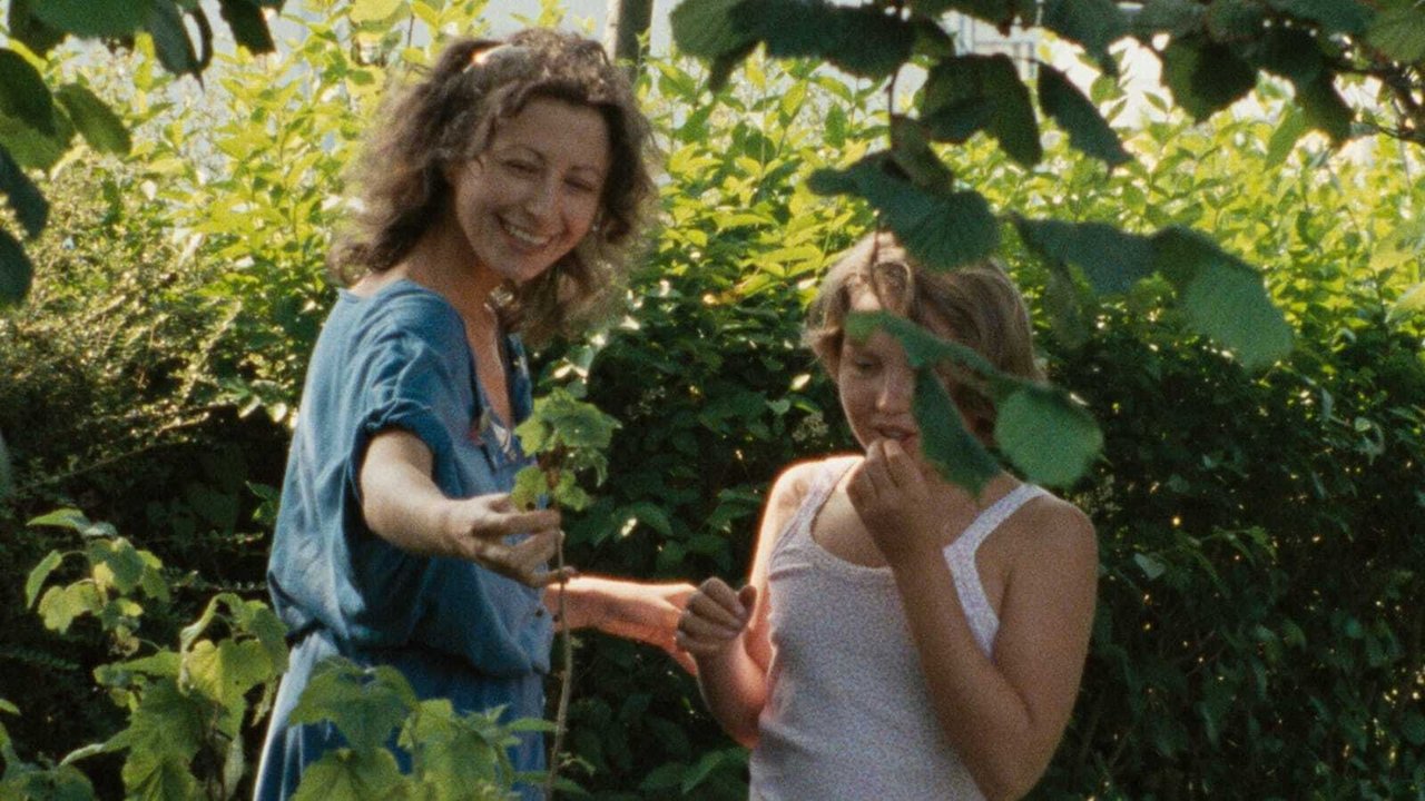 دانلود فيلم The Green Ray 1986 | پرتو سبز