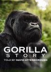 دانلود فيلم A Gorilla Story: Told by David Attenborough 2026 | داستان یک گوریل: به روایت دیوید اتنبورو