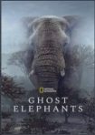 دانلود فيلم Ghost Elephants 2025 | فیل‌های شبح