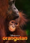 دانلود فيلم Orangutan 2026 | اورانگوتان