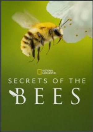 دانلود سريال Secrets of the Bees 2026 | اسرار زنبور ها