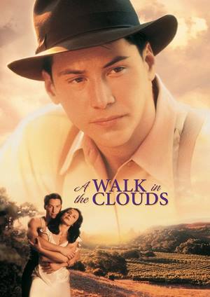 دانلود فيلم A Walk in the Clouds 1995 | قدم زدن در ابرها