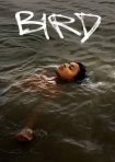 دانلود فيلم Bird 2024 | پرنده
