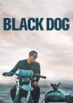 دانلود فيلم Black Dog 2024 | سگ سیاه
