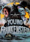 دانلود فيلم Young Frankenstein 1974 | فرانکنشتاین جوان